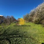 img 20250319 wa0007 hh3jf4td 2048x1536 kxpxxkPL