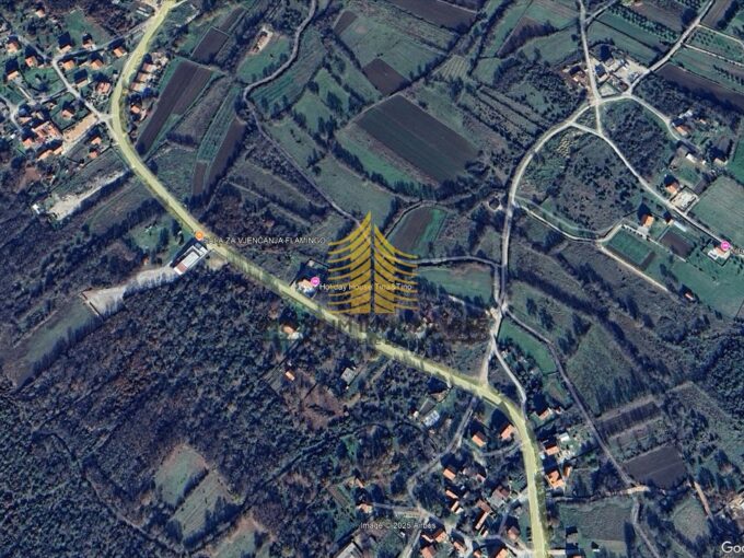 ledinski foto yVdnwcqI 1283x922 1