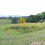 p1290100 1 BuO7ooT0 4000x2251 1