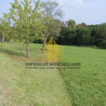 p1290126 3 kopija vEdmzo1e 4000x2251 1