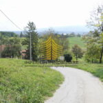 p1290137 4 kopija DQn5RMBt 4000x2251 1