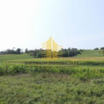 p1290188 5 QlWYhAx7 4000x2251 1