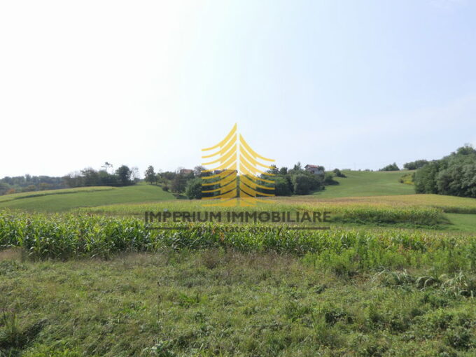 p1290188 5 QlWYhAx7 4000x2251 1