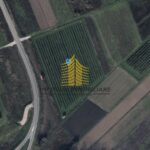 polj. zemlj. slika WMr4nCxs 903x640 1