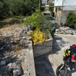 slika2 8NAwg7qi 1536x2048 portrait