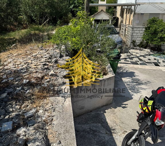 slika2 8NAwg7qi 1536x2048 portrait