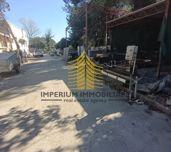 whatsapp image 2025 03 24 at 3.15.36 pm 1 ch0okYB2 1200x1600 portrait