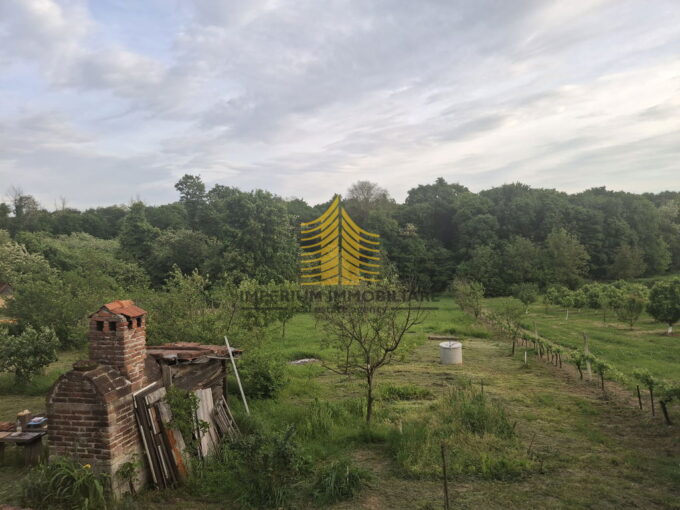 whatsapp image 2025 05 28 at 13.00.52 zI3FFns4 2040x1530 1