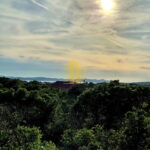 whatsapp image 2025 05 30 at 124843putearg8 2048x1952683a3227b1ab5 683a35cea32f1