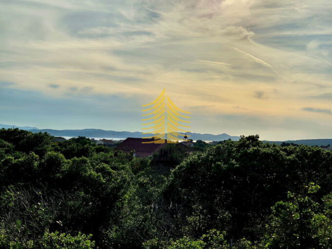 whatsapp image 2025 05 30 at 124843putearg8 2048x1952683a3227b1ab5 683a35cea32f1