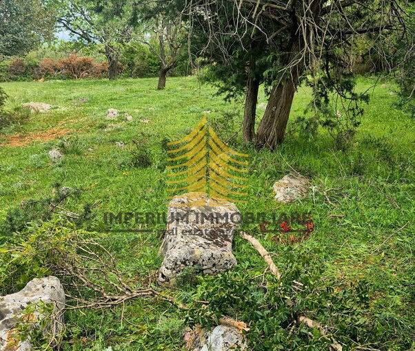 whatsapp image 2025 05 30 at 15.24.11 2fIGxdqB 1604x2048 portrait