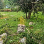 whatsapp image 2025 05 30 at 1524112figxdqb 1604x2048 portrait 683a33c2937b8