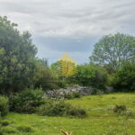 whatsapp image 2025 05 30 at 152657yrtitgky 1646x1712 portrait 683a322f4a647