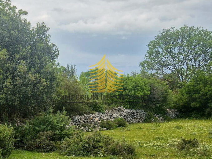 whatsapp image 2025 05 30 at 152657yrtitgky 1646x1712 portrait 683a322f4a647