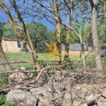 whatsapp image 2025 05 30 at 152811uclt3znh 1564x1338683a33c44a5bc 683a348f7936d