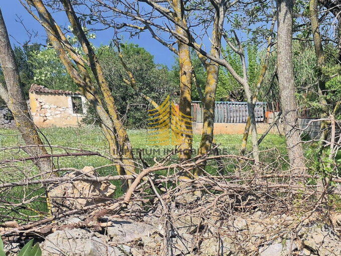 whatsapp image 2025 05 30 at 152811uclt3znh 1564x1338683a33c44a5bc 683a348f7936d