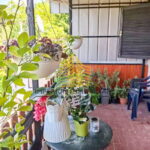 whatsapp image 2025 06 24 at 17.48.50 uTTYSGTC 679x921 portrait