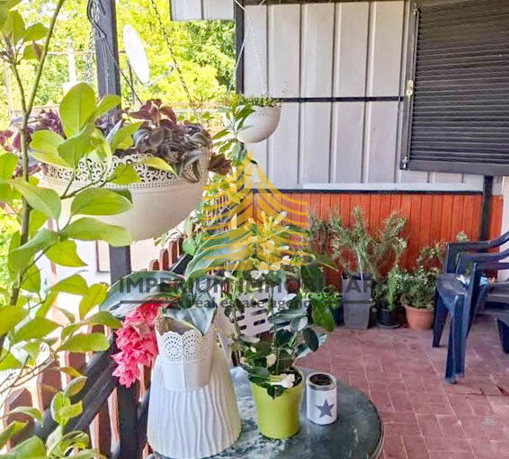 whatsapp image 2025 06 24 at 17.48.50 uTTYSGTC 679x921 portrait