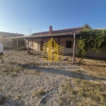 whatsapp image 2025 08 29 at 13.52.24 4 FnqYeTNl 1500x2000 portrait