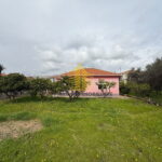 whatsapp image 2026 03 13 at 16.46.56 XxUT5LYA 2048x1536 1