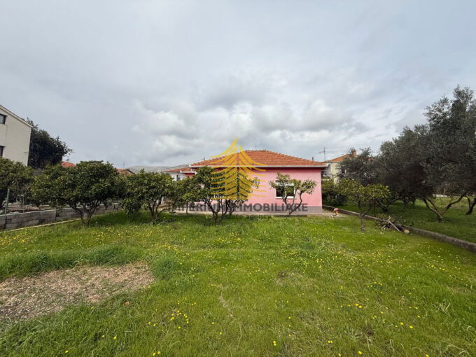 whatsapp image 2026 03 13 at 16.46.56 XxUT5LYA 2048x1536 1