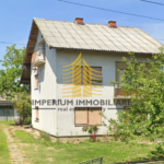 bunjani ku 123 wSaoiXYc 630x494 1