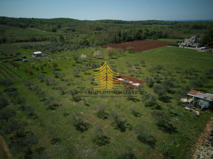 dji 20260417122057 0026 d TjtIrMfz 4032x3024 1