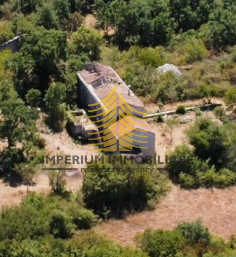 whatsapp image 2026 03 15 at 23.55.50 1 efiFTDob 623x1024 portrait