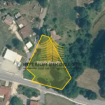 brajkovic 78dkTssI 731x537 1