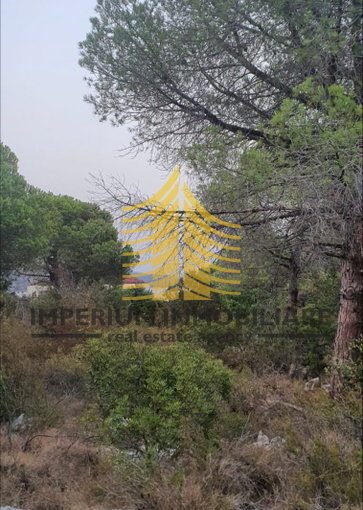gradevinsko zemljiste centar kraj crkve drvenik mali 613 m2 slika 285362585 F265Bl3D 757x1600 portrait